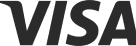 visa icon